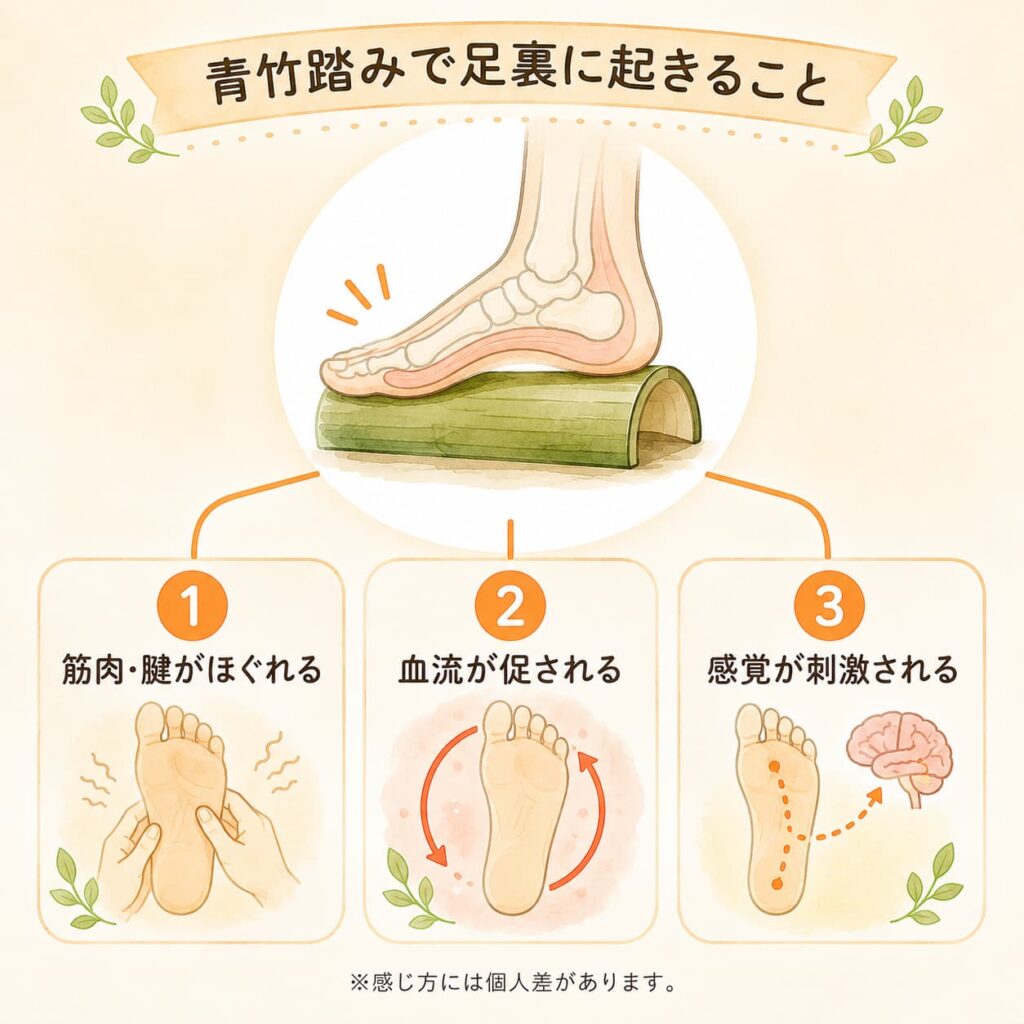 青竹踏みで足裏に何が起きるかを示すイメージ