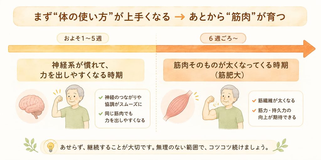 腕立て伏せで上半身を鍛えることの効果を示すイメージ