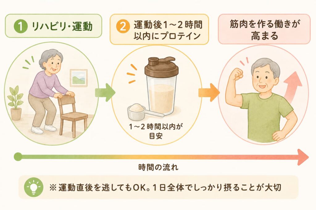 リハビリのあと1〜2時間以内にプロテインを摂るおすすめのタイミングを示した図解